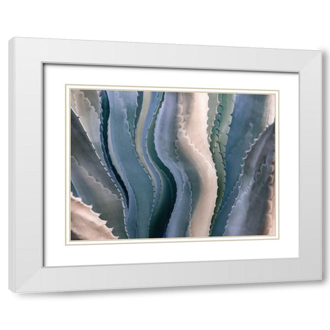 Sonoma Summertime Roadside Abstract White Modern Wood Framed Art Print with Double Matting by Wechsler, Robin
