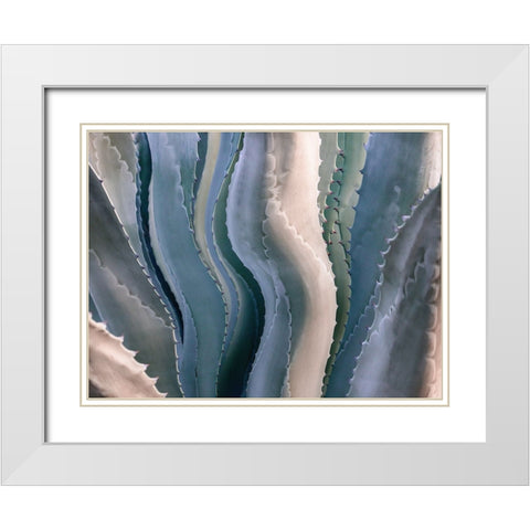 Sonoma Summertime Roadside Abstract White Modern Wood Framed Art Print with Double Matting by Wechsler, Robin