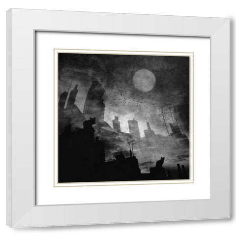 Black A White Cat Day... White Modern Wood Framed Art Print with Double Matting by Fabrowski, Robert