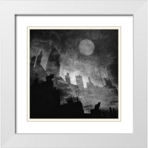 Black A White Cat Day... White Modern Wood Framed Art Print with Double Matting by Fabrowski, Robert