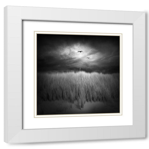 Marram Grass White Modern Wood Framed Art Print with Double Matting by Winkler, Jens