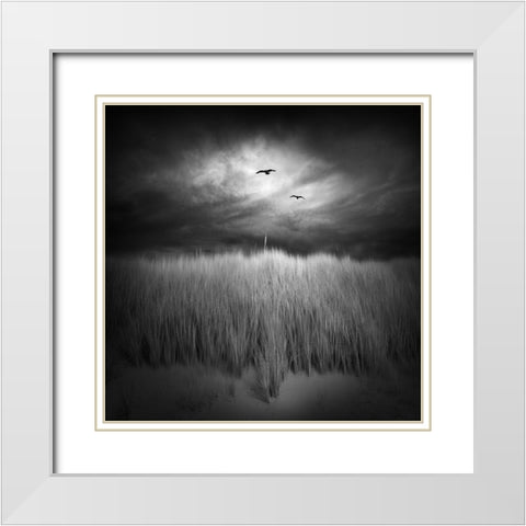 Marram Grass White Modern Wood Framed Art Print with Double Matting by Winkler, Jens
