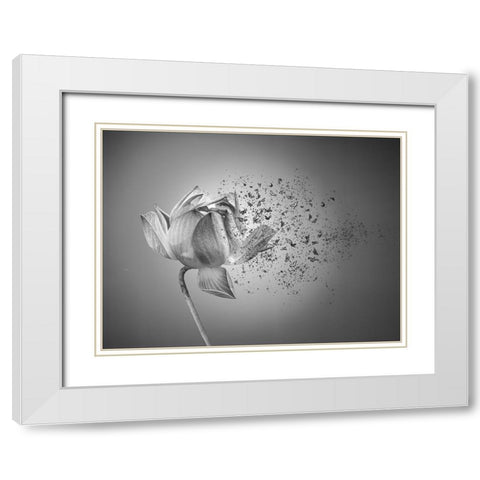 Flower White Modern Wood Framed Art Print with Double Matting by Lin, Lin