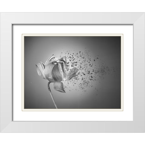 Flower White Modern Wood Framed Art Print with Double Matting by Lin, Lin