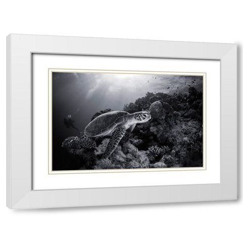 Green Turtle In Black And White White Modern Wood Framed Art Print with Double Matting by Gabriel, Barathieu