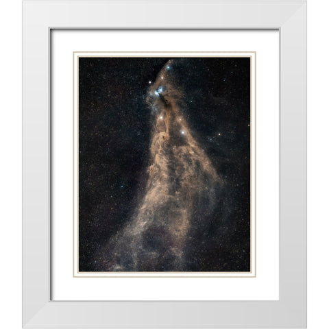 Southern Crown White Modern Wood Framed Art Print with Double Matting by Chander, Vikas