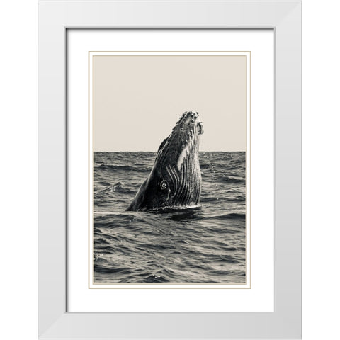 Secret Of Whale White Modern Wood Framed Art Print with Double Matting by Melesan, Serge