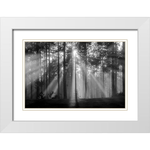 Light In The Snow White Modern Wood Framed Art Print with Double Matting by Alviani, Montserrat