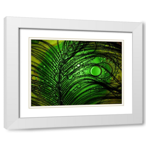 Feather Abstract White Modern Wood Framed Art Print with Double Matting by Lesica, Ivan