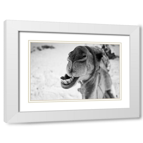 dromedary White Modern Wood Framed Art Print with Double Matting by Borges Alves, Luis