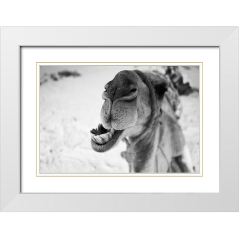 dromedary White Modern Wood Framed Art Print with Double Matting by Borges Alves, Luis