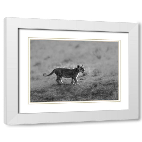 MORNING CAT White Modern Wood Framed Art Print with Double Matting by Marx, Jaco