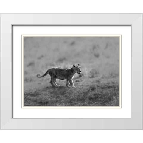 MORNING CAT White Modern Wood Framed Art Print with Double Matting by Marx, Jaco