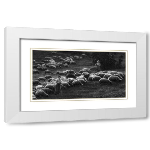 Bergers White Modern Wood Framed Art Print with Double Matting by Arabzadeh, Abbas