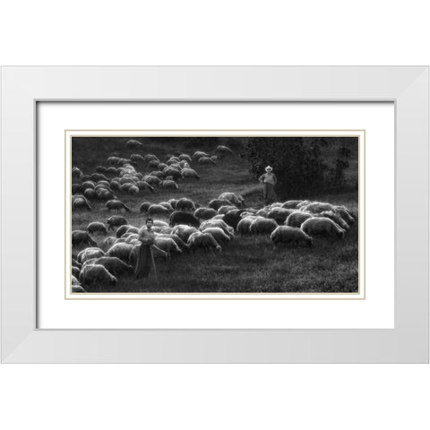 Bergers White Modern Wood Framed Art Print with Double Matting by Arabzadeh, Abbas