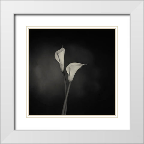 Simplicity White Modern Wood Framed Art Print with Double Matting by Engelbos, Mieke