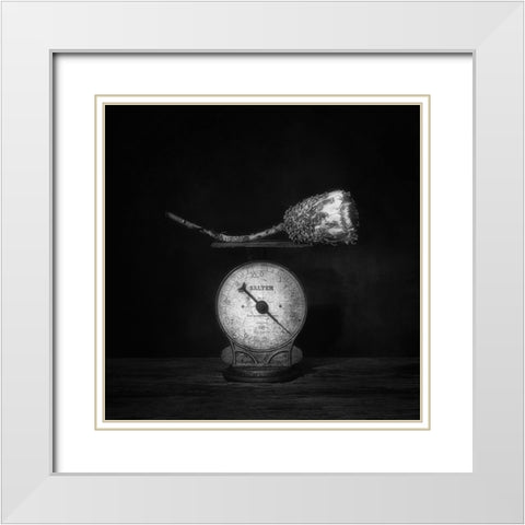 Simple Comme Bonjour . White Modern Wood Framed Art Print with Double Matting by Dingemans, Saskia