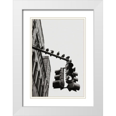 New York City Doves White Modern Wood Framed Art Print with Double Matting by Martin, Rikard