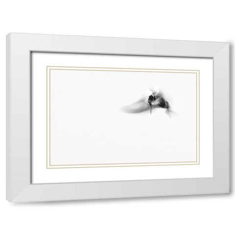 In...M O T I O N White Modern Wood Framed Art Print with Double Matting by Elkahlawi, Ahmed