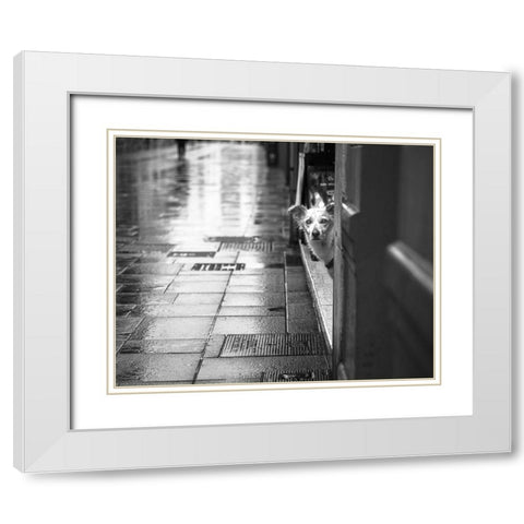 Rain White Modern Wood Framed Art Print with Double Matting by Alviani, Montserrat