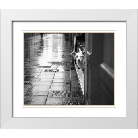 Rain White Modern Wood Framed Art Print with Double Matting by Alviani, Montserrat