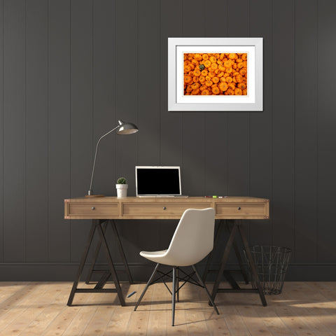 Dare to be Different White Modern Wood Framed Art Print with Double Matting by Ungvari, Rose