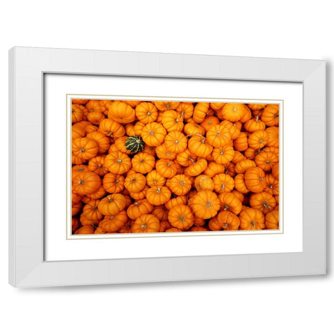 Dare to be Different White Modern Wood Framed Art Print with Double Matting by Ungvari, Rose