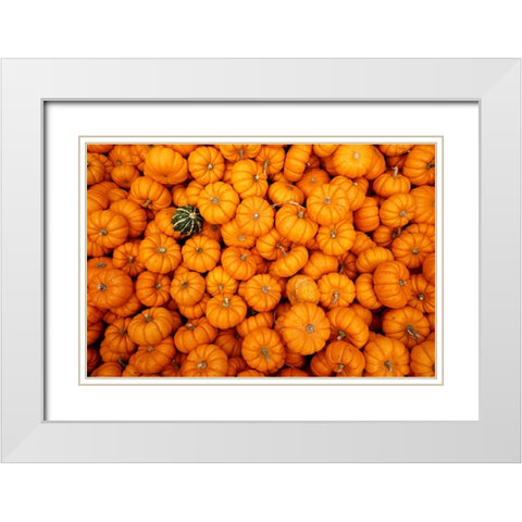 Dare to be Different White Modern Wood Framed Art Print with Double Matting by Ungvari, Rose
