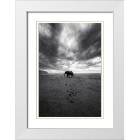 Amboseli White Modern Wood Framed Art Print with Double Matting by Swapnil