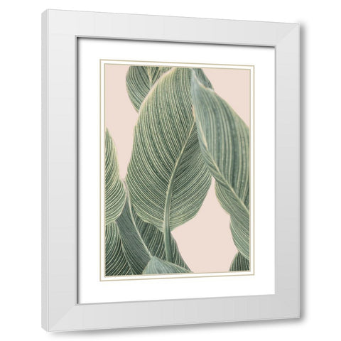 Calla Leaf White Modern Wood Framed Art Print with Double Matting by Pienaar, Kathrin