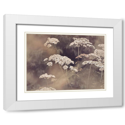 Wild Parsley White Modern Wood Framed Art Print with Double Matting by Pienaar, Kathrin