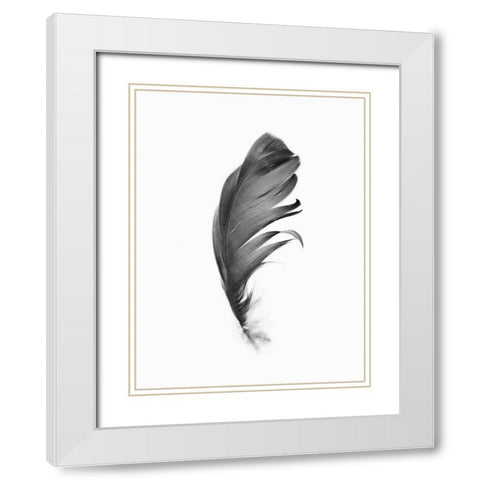 Feather White Modern Wood Framed Art Print with Double Matting by Pienaar, Kathrin