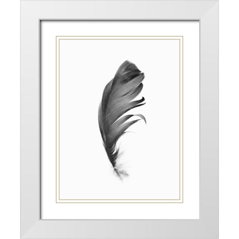 Feather White Modern Wood Framed Art Print with Double Matting by Pienaar, Kathrin