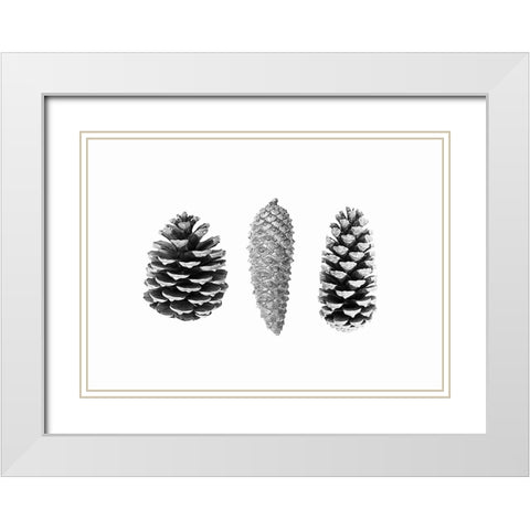Pine Cone Study White Modern Wood Framed Art Print with Double Matting by Pienaar, Kathrin