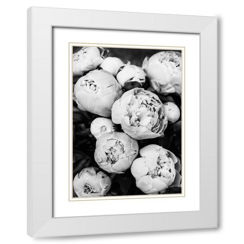 Peonies White Modern Wood Framed Art Print with Double Matting by Pienaar, Kathrin