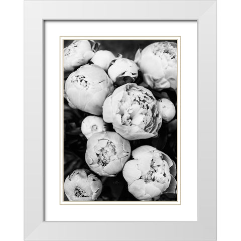 Peonies White Modern Wood Framed Art Print with Double Matting by Pienaar, Kathrin