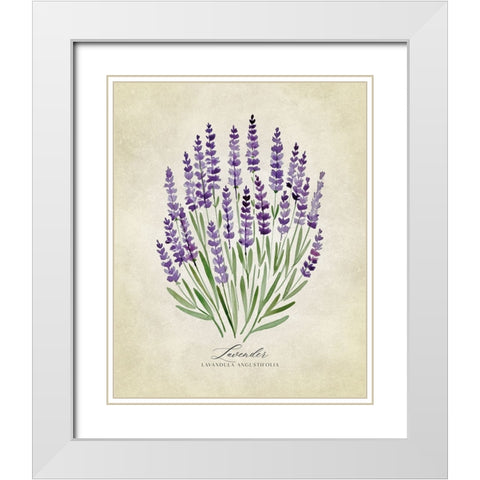 Lavender vintage White Modern Wood Framed Art Print with Double Matting by Laiz Blursbyai, Rosana