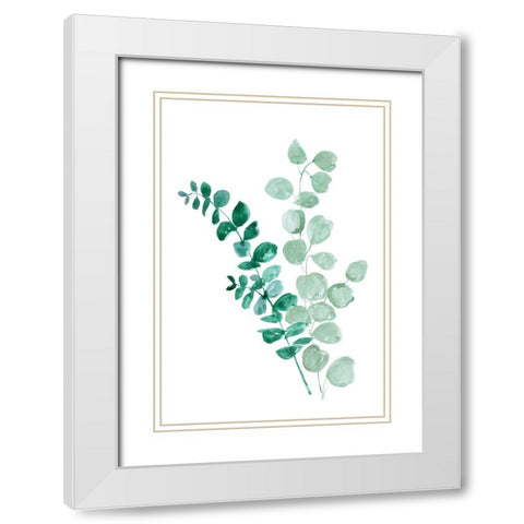 Two eucalyptus branches White Modern Wood Framed Art Print with Double Matting by Laiz Blursbyai, Rosana