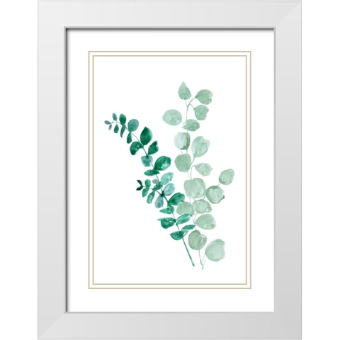 Two eucalyptus branches White Modern Wood Framed Art Print with Double Matting by Laiz Blursbyai, Rosana