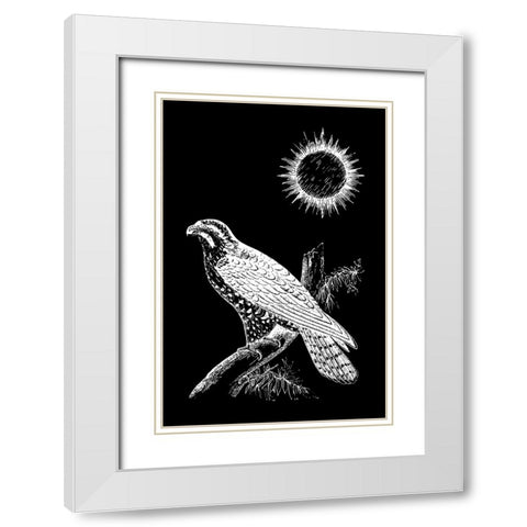 Falcon Peregrine White Modern Wood Framed Art Print with Double Matting by Abdel Aal, Hussein
