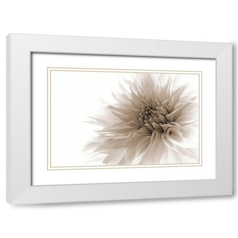 Dignified White Modern Wood Framed Art Print with Double Matting by Wettstein, Priska