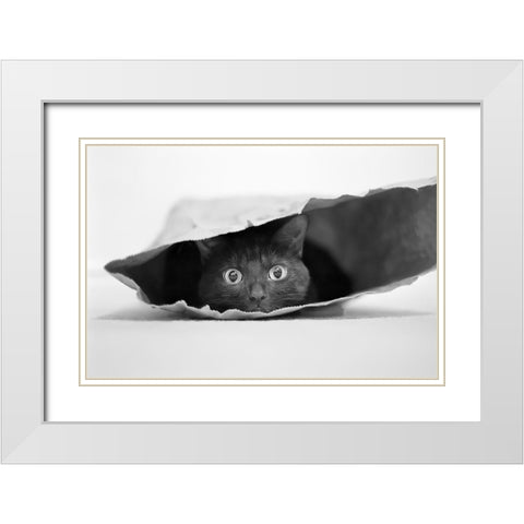 Cat In A Bag White Modern Wood Framed Art Print with Double Matting by Holthuysen, Jeremy