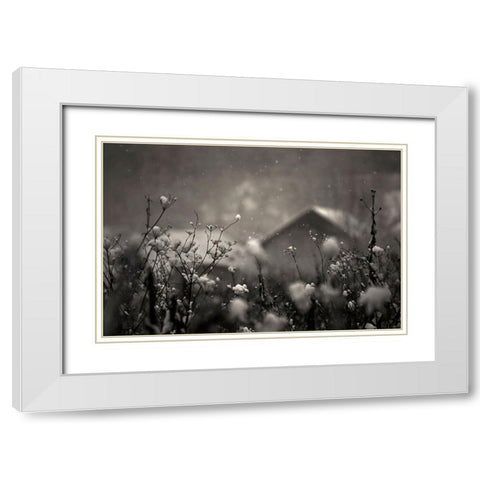 Winter Story White Modern Wood Framed Art Print with Double Matting by PhotoCosma