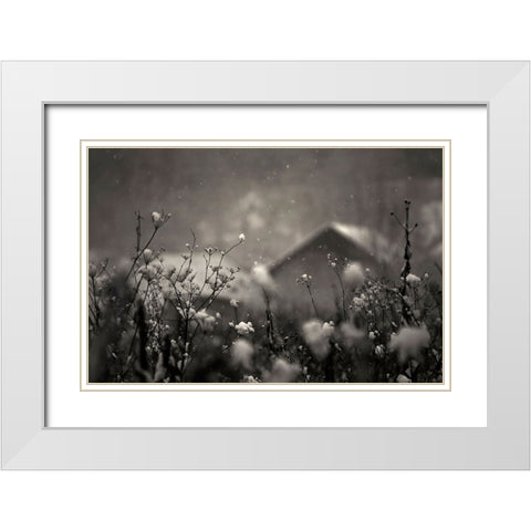 Winter Story White Modern Wood Framed Art Print with Double Matting by PhotoCosma