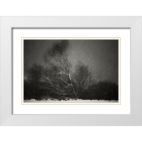Winter White Modern Wood Framed Art Print with Double Matting by PhotoCosma