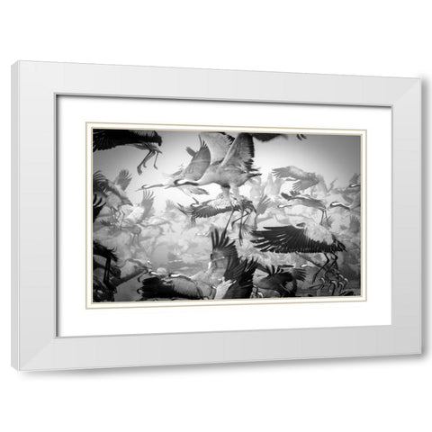Chaos White Modern Wood Framed Art Print with Double Matting by Meirovich, Ido