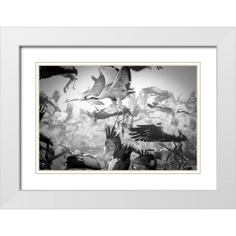 Chaos White Modern Wood Framed Art Print with Double Matting by Meirovich, Ido