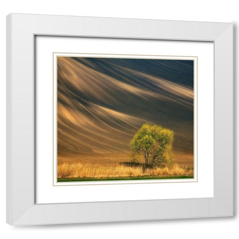 Tree... White Modern Wood Framed Art Print with Double Matting by Browko, Krzysztof