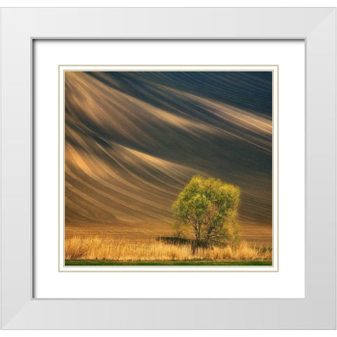 Tree... White Modern Wood Framed Art Print with Double Matting by Browko, Krzysztof