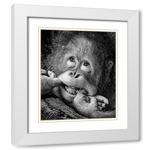 Big Smile.....Please White Modern Wood Framed Art Print with Double Matting by Muliani Hartojo, Angela
